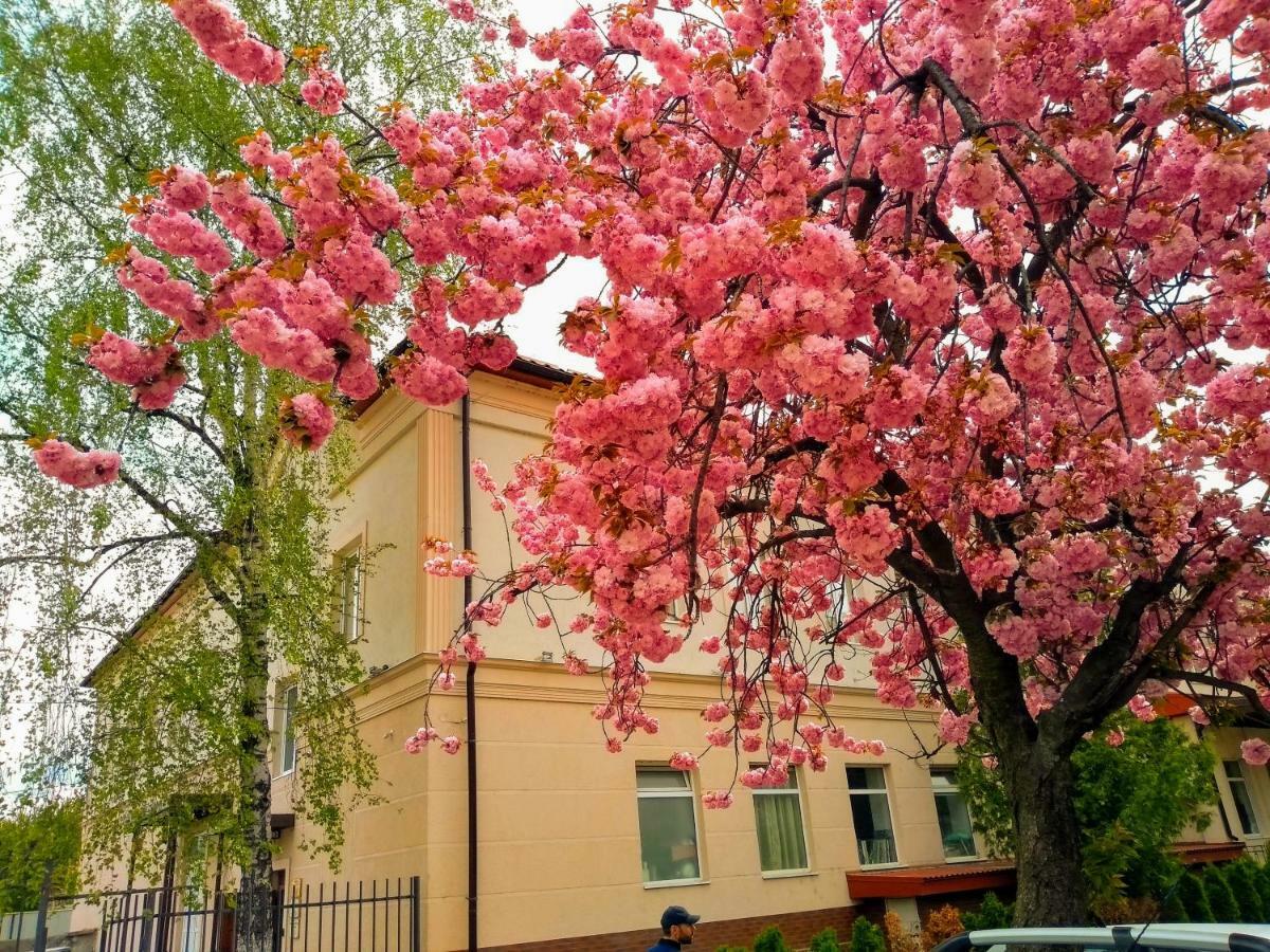 Mini-Hotel Na Pidgradskiy Uzhhorod Ngoại thất bức ảnh